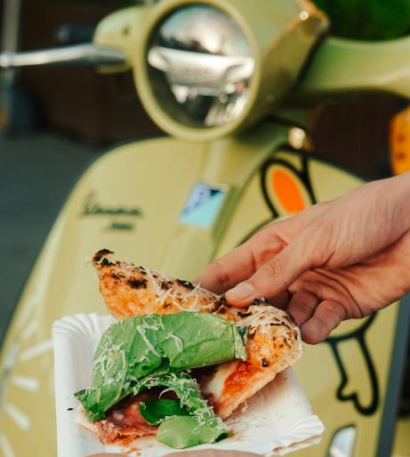 Cheese Parmesan overview