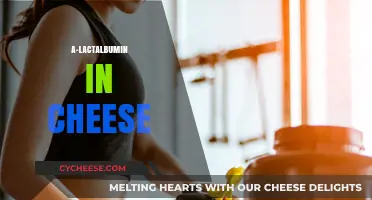 Exploring A-Lactalbumin's Role in Cheese Production and Quality