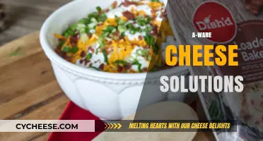 Innovative A-Ware Cheese Solutions: Transforming Dairy Production and Quality