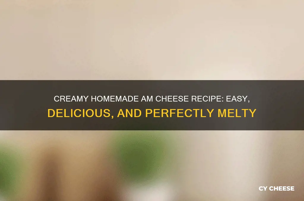 am cheese recipe