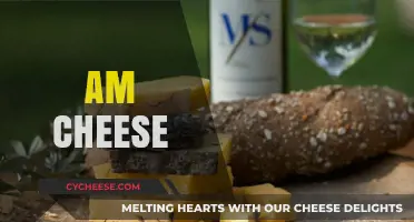 The Ultimate Guide to Enjoying and Pairing Artisanal Cheese Varieties