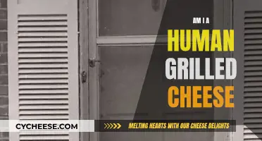 Grilled Cheese Conundrum: Am I a Human Sandwich?
