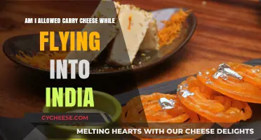 Can You Fly with Cheese? India's Customs Rules Explained