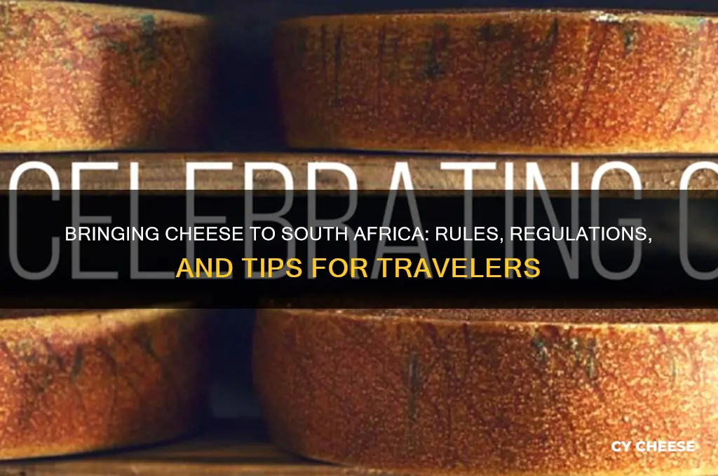 am i allowed to bring cheese to south africa