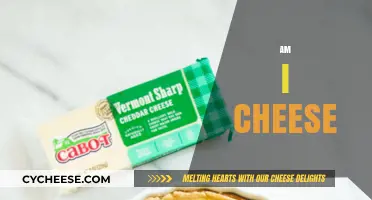 Am I Cheese? Exploring Identity, Self-Doubt, and Existential Questions