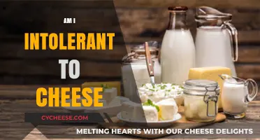 Could Cheese Be the Culprit? Uncovering My Potential Dairy Intolerance
