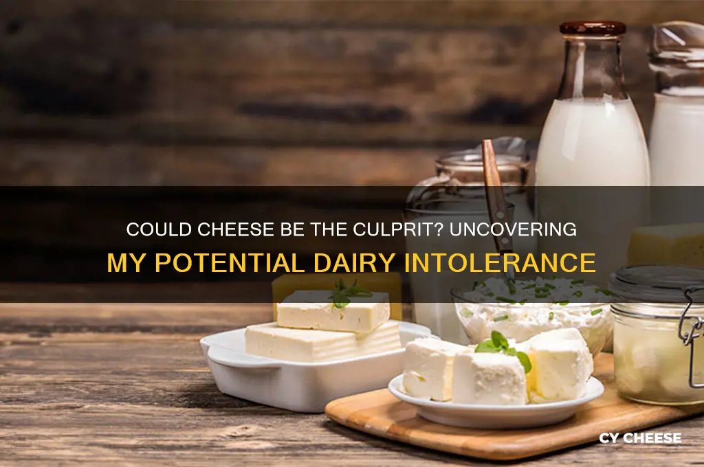 am i intolerant to cheese