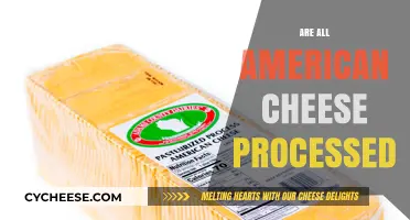Is American Cheese Processed? Uncovering the Truth Behind the Slice