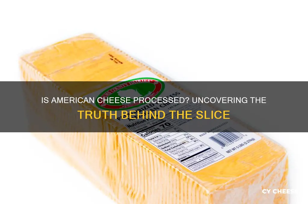 are all american cheese processed
