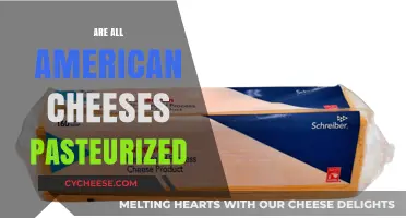 Are All American Cheeses Pasteurized? Uncovering the Truth