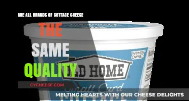 Cottage Cheese Quality Comparison: Are All Brands Created Equal?