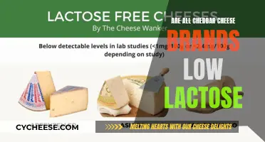 Unraveling the Cheddar Mystery: Lactose Levels Across Brands