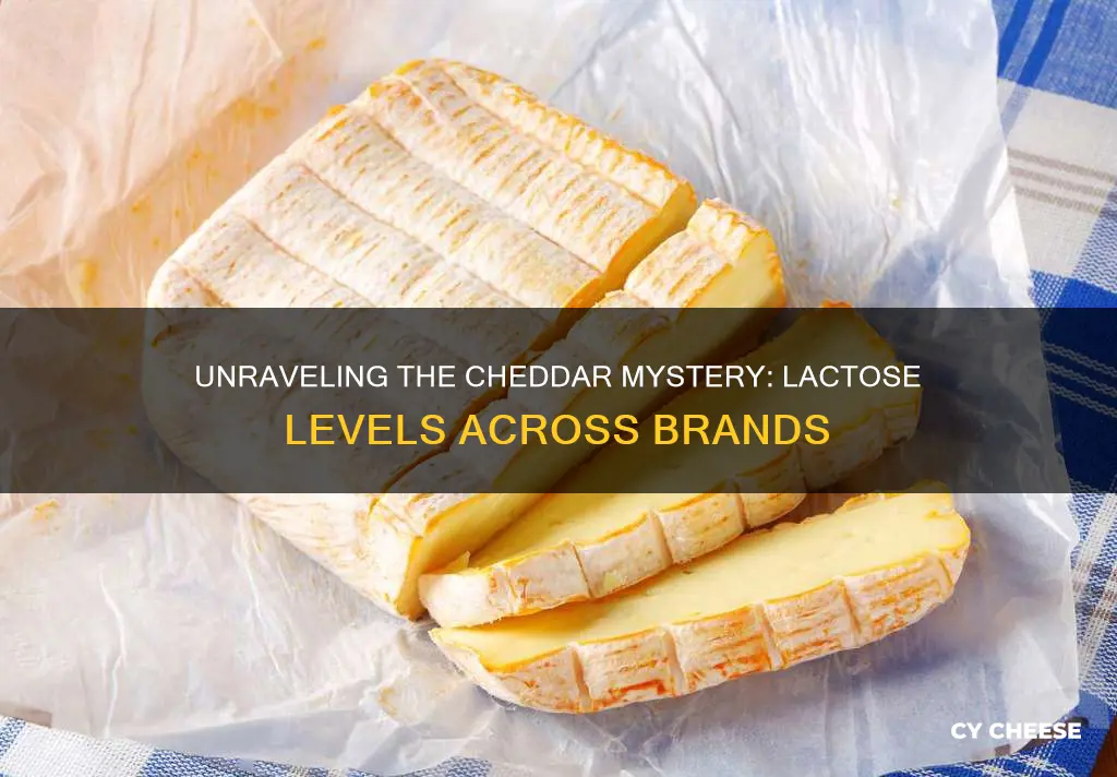 are all cheddar cheese brands low lactose