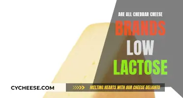 Cheddar Cheese Brands: Are They All Low-Lactose?