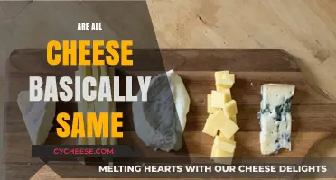 Are All Cheeses the Same? Unraveling the Dairy Diversity