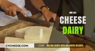 Are All Cheeses Dairy? Unraveling the Truth Behind Cheese Varieties