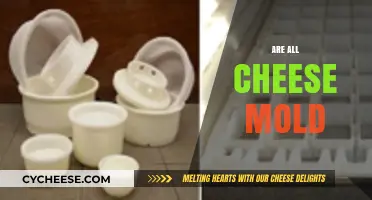 Unraveling the Truth: Are All Cheeses Moldy by Nature?