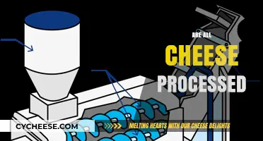 Are All Cheeses Processed? Unraveling the Truth Behind Cheese Production