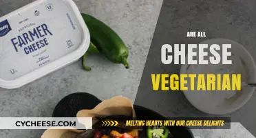 Is All Cheese Vegetarian? Uncovering Dairy's Hidden Animal Ingredients