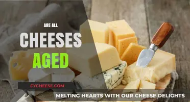 Not All Cheeses Are Aged: Understanding Cheese Aging Processes