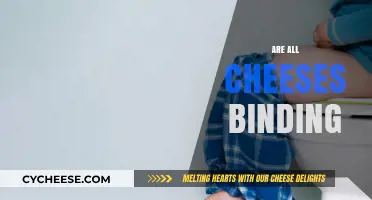 Do All Cheeses Cause Constipation? Debunking the Binding Myth