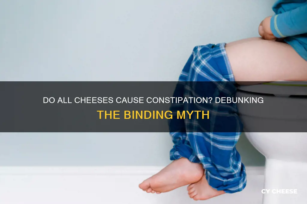 are all cheeses binding