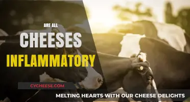Cheese and Inflammation: Separating Fact from Fiction in Dairy Diets