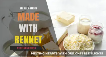 Exploring the World of Cheese: Are All Cheeses Made with Rennet?