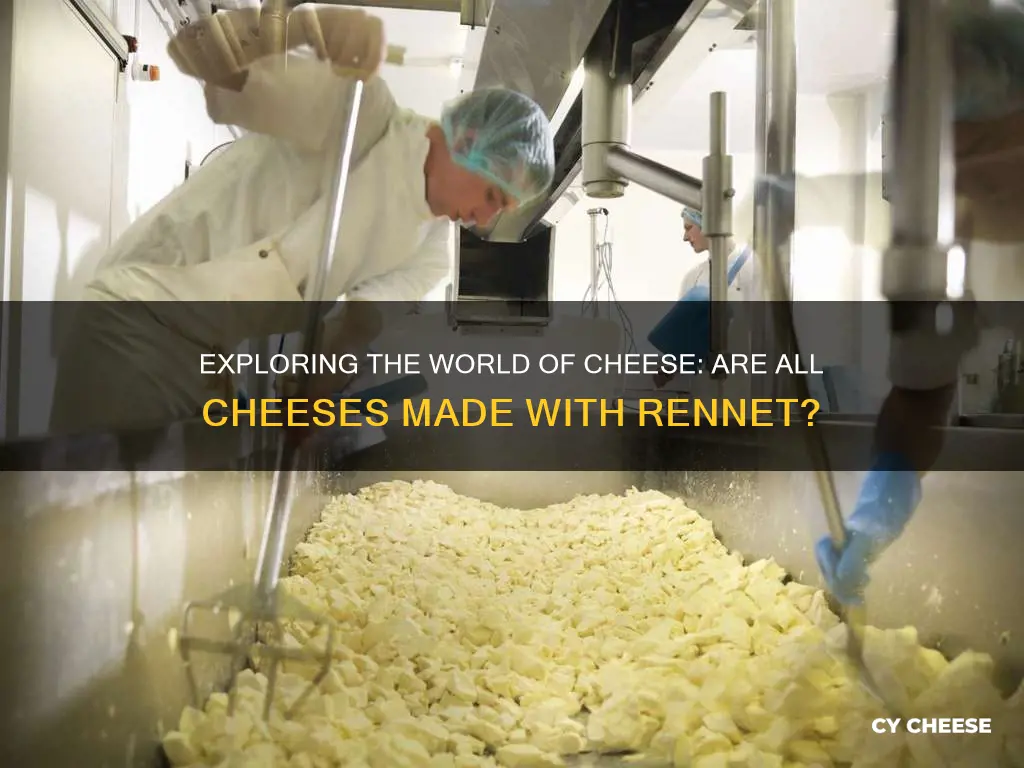 are all cheeses made with rennet