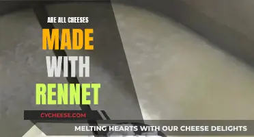 Cheese-Making: Rennet's Role Explored