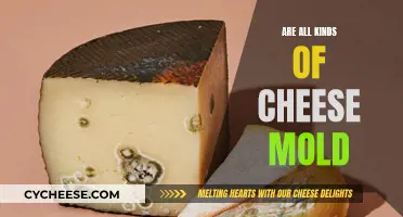 Mold in Cheese: What's the Real Story?