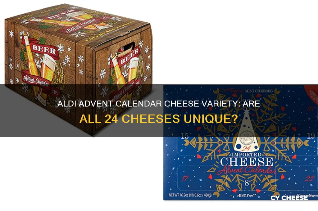 are all the cheeses in the aldi advent calendar different
