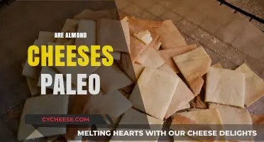 Is Almond Cheese Paleo? A Nut-Based Dairy Alternative Explained