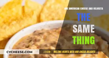 American Cheese vs. Velveeta: Unraveling the Melty Mystery