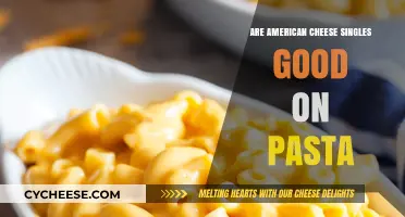 American Cheese Singles on Pasta: A Tasty Twist or Culinary Crime?