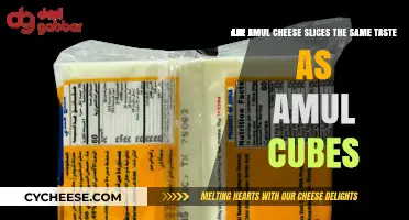 Amul Cheese Slices vs. Cubes: A Taste Comparison
