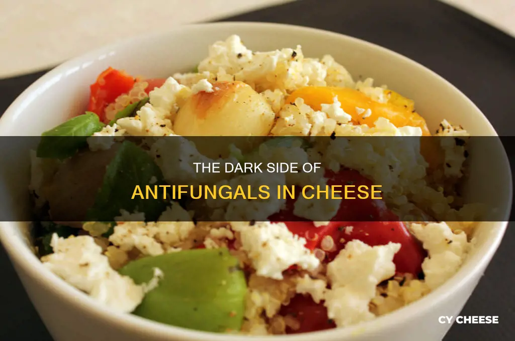 are antifungals in cheese bad