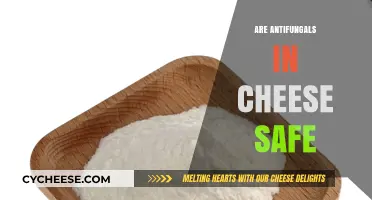Are Antifungals in Cheese Safe? Uncovering the Truth