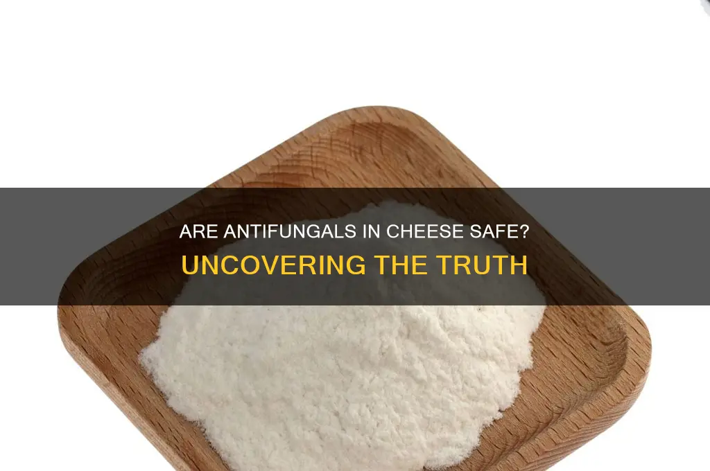 are antifungals in cheese safe