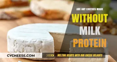 Dairy-Free Cheeses: Unveiling the Milk-Free Magic