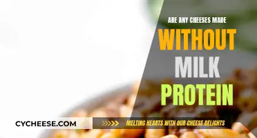Cheese Without Milk: Is It Possible?