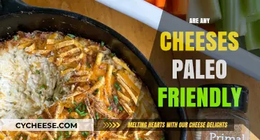 Is Cheese Paleo? Discover Dairy's Place in the Paleo Diet