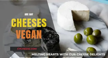 Exploring Vegan Cheese Options: Are Any Cheeses Truly Vegan?