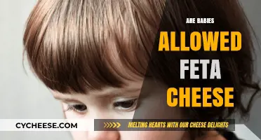 Feta Cheese and Babies: Is it Safe?