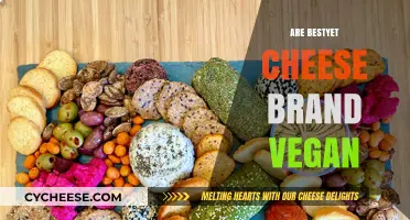 Is Bestyet Cheese Vegan? Exploring Ingredients and Ethical Options