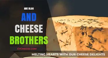 Are Bloo and Cheese Brothers? Unraveling the Mystery Behind Their Bond