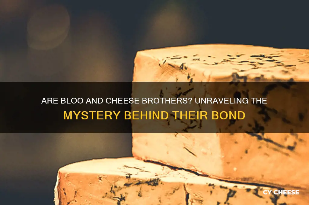 are bloo and cheese brothers