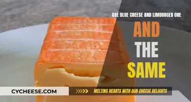 Blue Cheese and Limburger: Similarities and Differences
