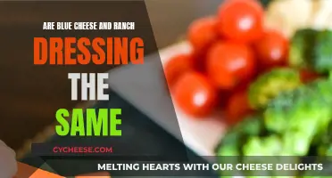 Blue Cheese and Ranch: Similar or Distinct Condiments?
