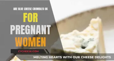 Blue Cheese Crumbles: Safe Snack for Pregnant Women?